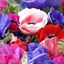 ���� ��������� ���������, ��������� - ��������� 23 ��� 2016 � ������ ���� ����������