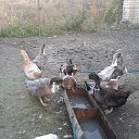 ���� ���������, �������������� - ��������� 8 �������� 2016 � ������ �����