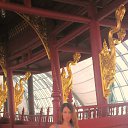 ���� �������, �����-���������, 40 ��� - ��������� 21 ���� 2016 � ������ ���� ����������