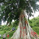 ���� �����, ���������, 65 ��� - ��������� 14 ���� 2016 � ������ ������ ��������