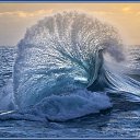 ���� �����, ����, 61 ��� - ��������� 7 ������ 2016