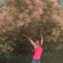  ,  -  25  2016   , , 