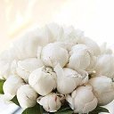 ���� ����, ���������, 57 ��� - ��������� 15 ����� 2016 � ������ ������ ��������