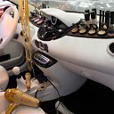 ���� ������, ������������, 66 ��� - ��������� 11 ������� 2016 � ������ ������ ��������
