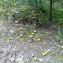 ���� �������, ��������, 55 ��� - ��������� 30 ���� 2016 � ������ ���� ����������