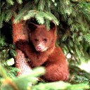 ���� �����, �������������-���������� - ��������� 5 ���� 2016 � ������ ����������� ����