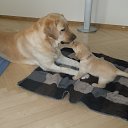 ���� ���� ����.... �� ������� ������