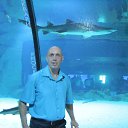 ���� ������, ������, 57 ��� - ��������� 6 �������� 2016 � ������ ���� ����������