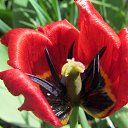 ���� ��, ������������ - ��������� 2 ���� 2016 � ������ ��� ������ ���)))�