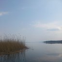  Alehandro, , 53  -  10  2016      2016