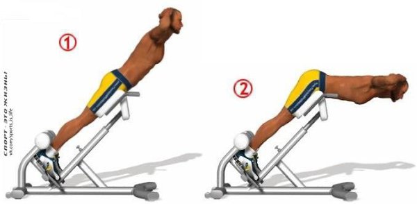 .    .        ... - 2