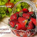 ���� ����, ������, 44 ���� - ��������� 8 ������ 2016 � ������ ������ ��������