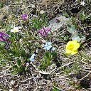 ���� �������, �����, 49 ��� - ��������� 16 ����� 2016 � ������ ���� ����������