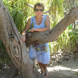 ���� �������, ������, 67 ��� - ��������� 12 ������� 2016