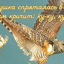 ���� �����, �����, 57 ��� - ��������� 20 ���� 2016 � ������ �������� ��������