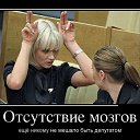 ���� ����, ������, 43 ���� - ��������� 4 �������� 2016 � ������ ���� ����������