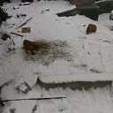 ���� ����, ������������, 35 ��� - ��������� 12 ���� 2016 � ������ �Moscow 2016 January�