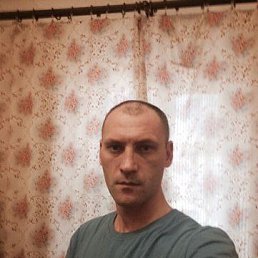 ������, ������, 51 ���