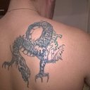 ���� �����, �����-���������, 43 ���� - ��������� 10 ���� 2016 � ������ �����������