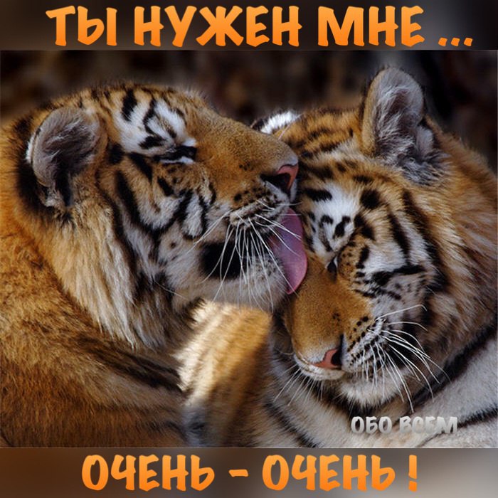 Мне нужен тот, кто, несмотря на беды, Меня одну оставить не захочет. Кто не запишет мою боль в ...