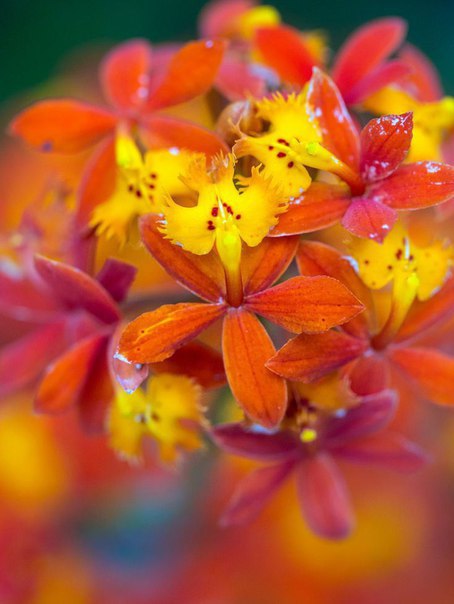  ! - 8  2016  18:49 - 2