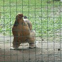  ,  -  24  2016   &quot;  &quot;.. 2016