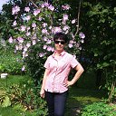 ���� ������, �����-���������, 61 ��� - ��������� 26 ���� 2016 � ������ ���� ����������