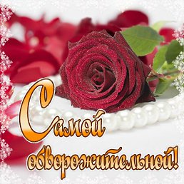 ���� �����, ���������, 59 ��� - ��������� 12 ���� 2016