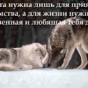 ���� Ce����, �����-���������, 54 ���� - ��������� 17 ���� 2016 � ������ ���� ����������