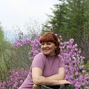 ���� �������, �����������-��-����� - ��������� 16 ���� 2016 � ������ ���� ����������