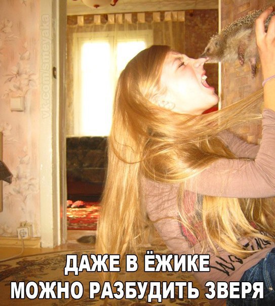   - 15  2016  20:11
