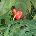 ���� ������, ������, 66 ��� - ��������� 12 ������ 2016 � ������ ������������� ���