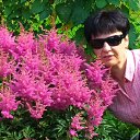 ���� ������, �����-���������, 61 ��� - ��������� 26 ���� 2016 � ������ ���� ����������