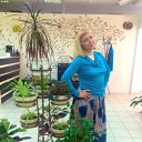 ���� �������, ������ - ��������� 24 ������ 2016 � ������ ���� ����������