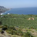 ���� Kazimieras, ����� - ��������� 13 ���� 2016 � ������ �Tenerife�