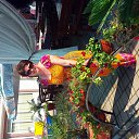 ���� �����, ����������, 58 ��� - ��������� 3 ��� 2016 � ������ ���� ����������