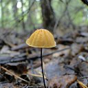 ���� �����, ������������, 59 ��� - ��������� 16 ���� 2016 � ������ ������ �����.�