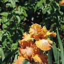  , , 60  -  16  2016    ,,18.05.16.