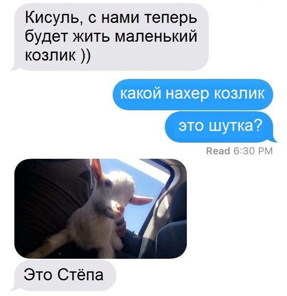   - 27  2016  13:25