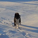 ���� ������, �������� - ��������� 13 ������ 2016 � ������ ���� ����������