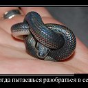 ���� �������, ���� - ��������� 20 ���� 2016 � ������ ������ ��������