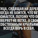 ���� ������, �����-��������� - ��������� 13 ����� 2016 � ������ ������ ��������