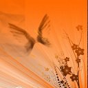 ���� Serzh&trade; Online, �����, 60 ��� - ��������� 29 ����� 2016 � ������ �SERZH�