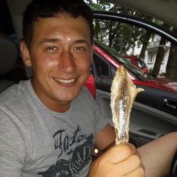 ����, �����-���������, 39 ���