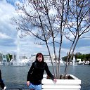 ���� ����, ������, 44 ���� - ��������� 3 ��� 2016 � ������ ���� ����������