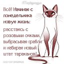 ���� Elizabeth, ������, 58 ��� - ��������� 15 ���� 2016 � ������ ������ ��������