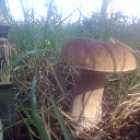 ���� �����, ������, 64 ���� - ��������� 22 ���� 2016 � ������ ���� ����������