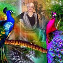  ,  , 70  -  18  2016    