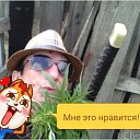 ���� ��������� �������, ����, 48 ��� - ��������� 24 ������� 2016 � ������ ������ ��������