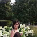 ���� ����, ������ - ��������� 6 ������� 2016 � ������ ���������
